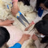 あったかウール小物「ひつじと暮らす」